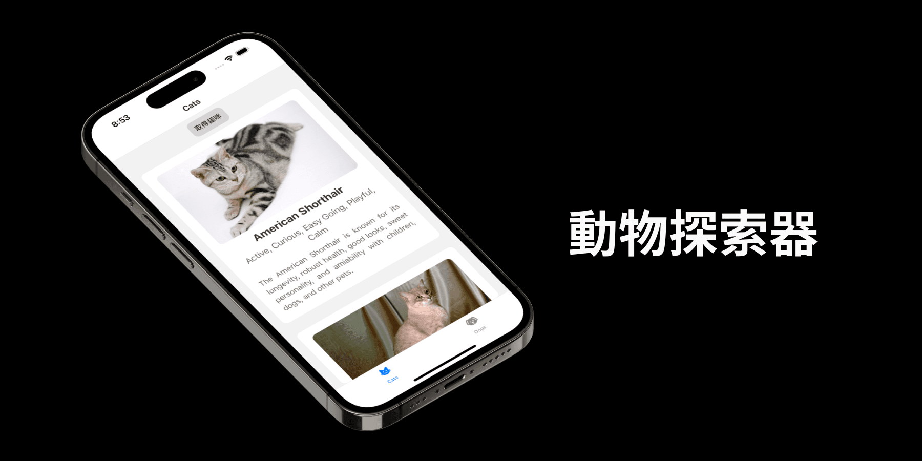 動物探索器