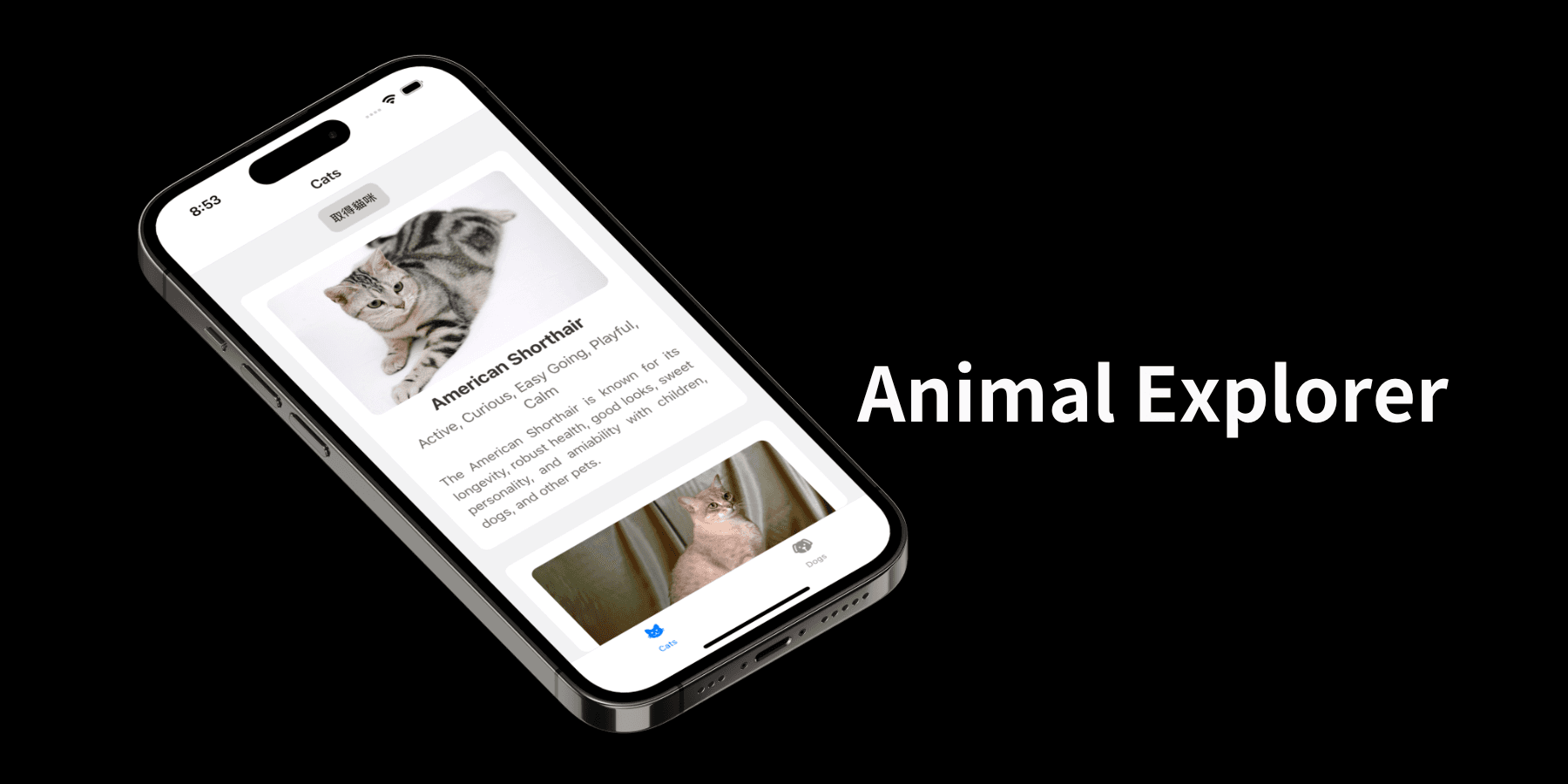 Animal Explorer