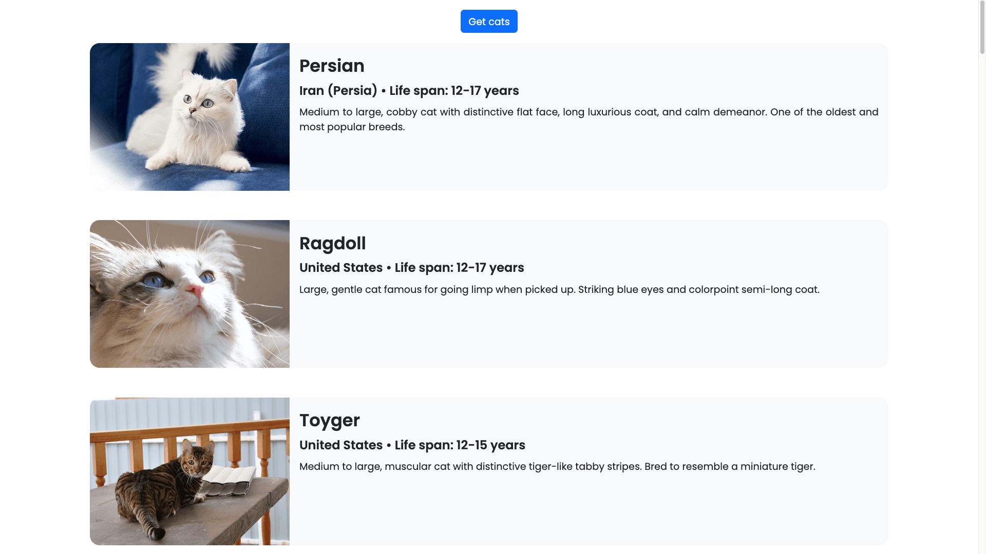Cat Website