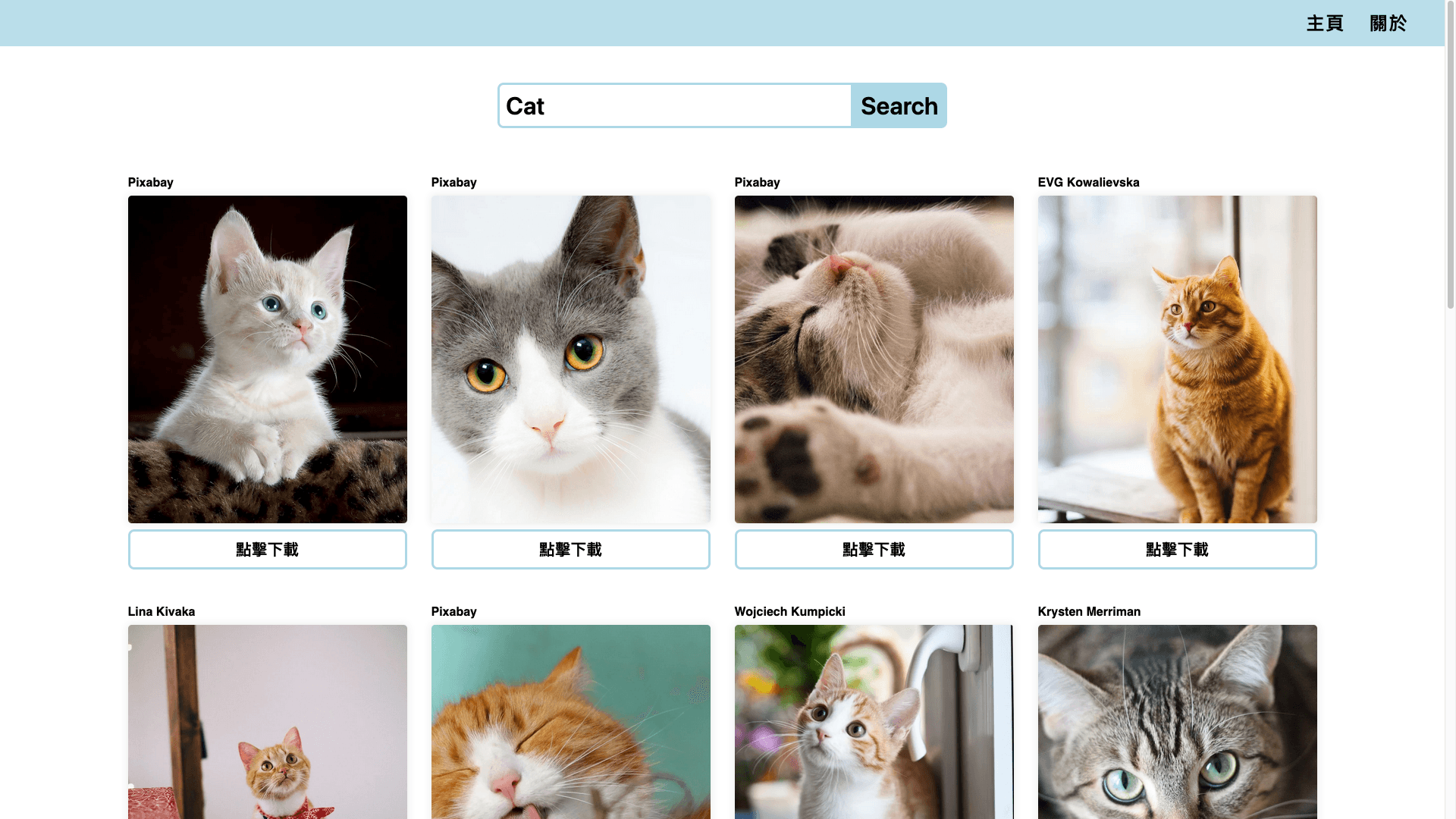 Pexels Image Searcher