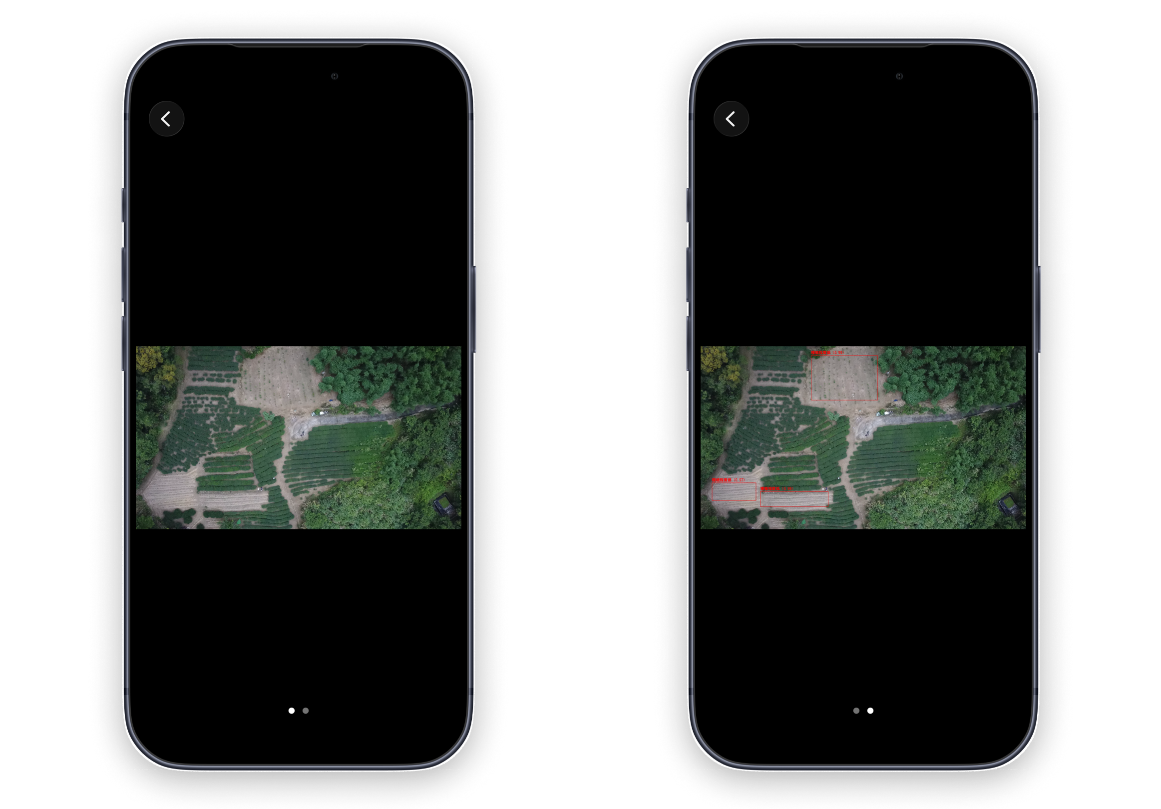 Tea farm image analysis results