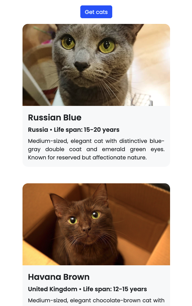 Cat List 3
