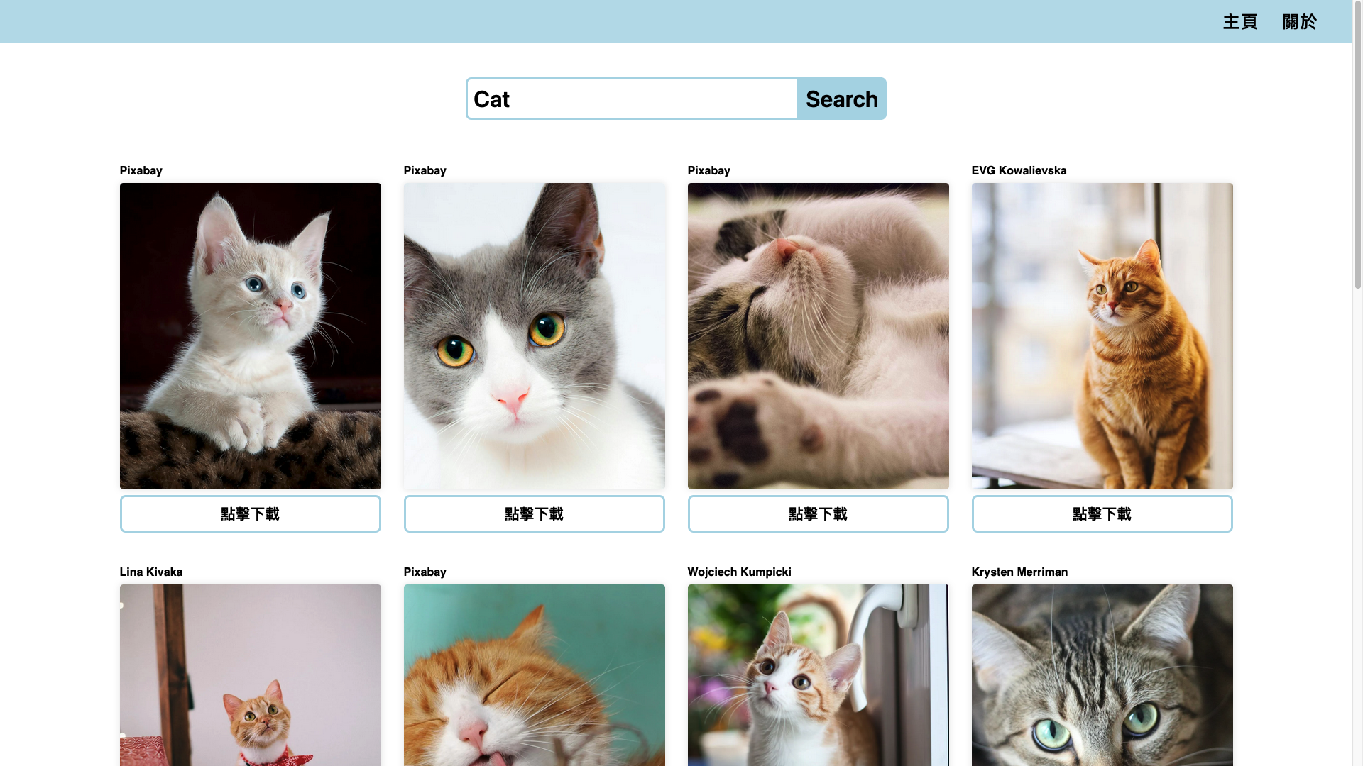 Image Search